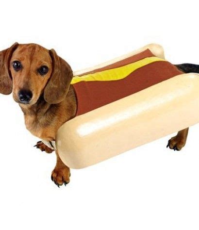 Hot Dog Outfit | Pet halloween costumes, Dog halloween costumes, Hotdog costume