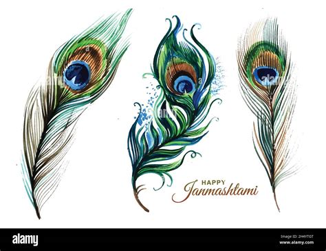 how to draw a feather of peacock - Roxann Sexton