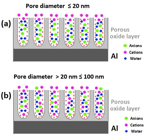 Combined effect(s) of the positive surface charge and the nanometric... | Download Scientific ...