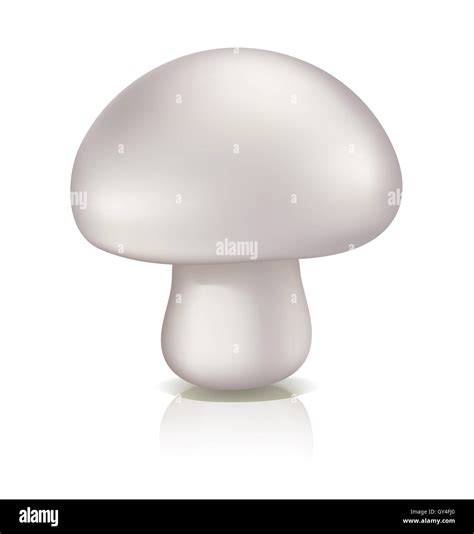 Mushroom vector isolated on a white background Stock Photo - Alamy