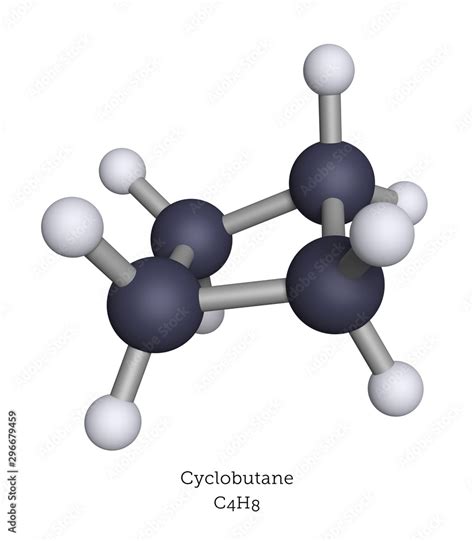 Cyclobutane shown as a molecular model Stock Illustration | Adobe Stock