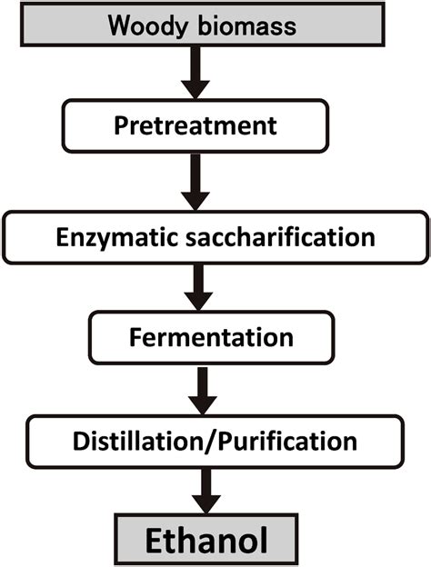 Scheme of Ethanol Production from Woody Biomass | Download Scientific Diagram