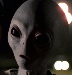 Grey - X-Files Wiki - David Duchovny, Gillian Anderson