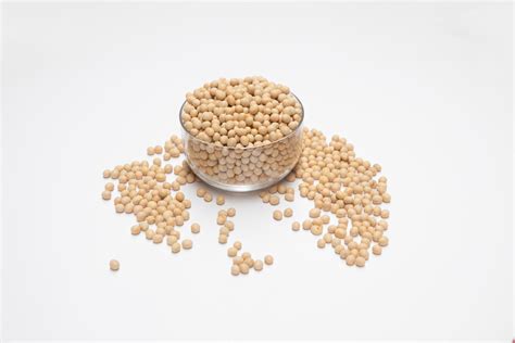 Canadian Soybean - Hong Guan Marine Products