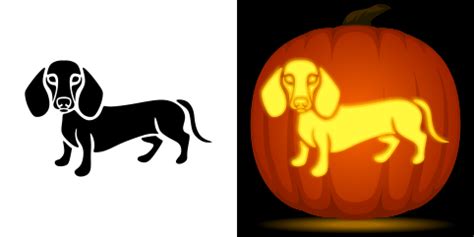 Free Dachshund Pumpkin Stencil | Pumpkin stencil, Pumpkin carving ...