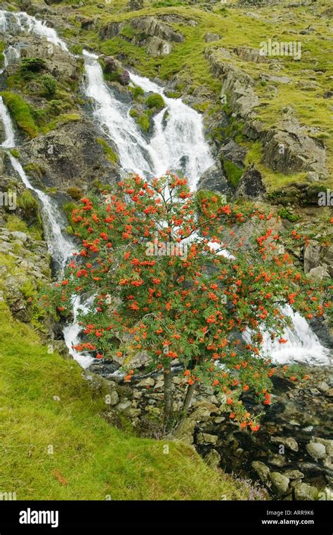 Coniston waterfall hi-res stock photography and images - Alamy