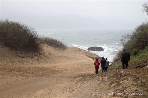 Ano Nuevo State Park: Elephant Seal Viewing Up Close - California Through My Lens