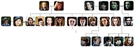 Harry Potter Family Tree (Picture Click) Quiz - By FantasticBowTies