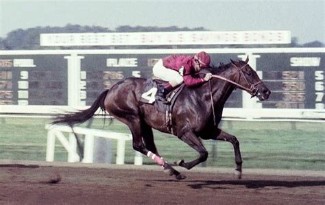 Kentucky Derby: How the Secretariat family flame burns bright with Epicenter and Simplification ...