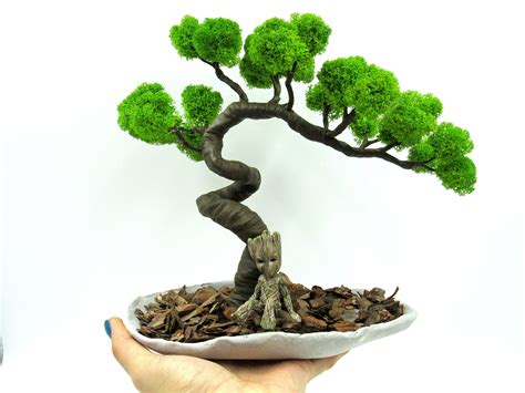 Zen Garden With Bonsai Tree – Zerkalovulcan