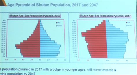 Bhutan's population to remain below 1M mark even by 2047: NSB report ...