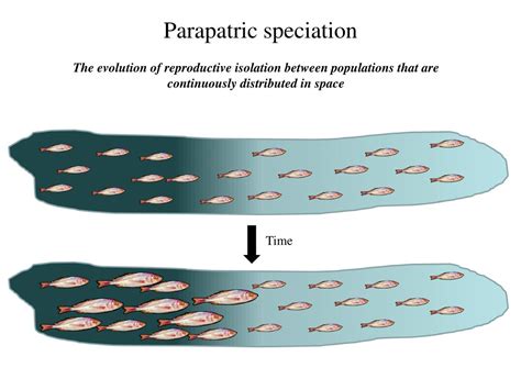 PPT - Speciation PowerPoint Presentation, free download - ID:3096322