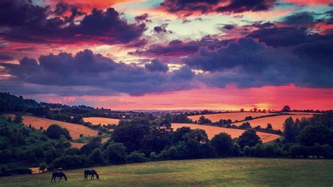 Sunset clouds landscapes nature trees animals fields hills Ireland ...