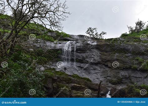 Waterfalls stock photo. Image of malshej, tree, water - 135424466