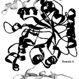 B. The 3D Structure of human pancreatic-amylase (PDB_ID: 4GQR ...