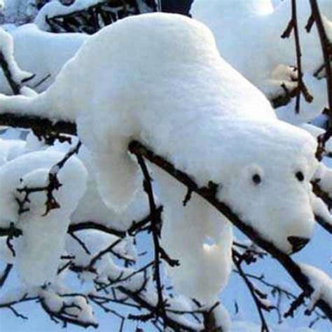 14 Incredible Ice and Snow Sculptures — The Family Handyman