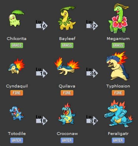 Pokémon Johto Lv,Evolution Cyndaquil Quilava And Typhlosion Totodile Croconaw And Ferarigatr ...