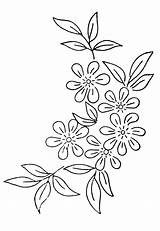 Flower Patterns And Designs Drawings sketch template