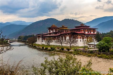 The Majestic Winter Capital of Bhutan - Punakha Dzong - Thrilling Travel