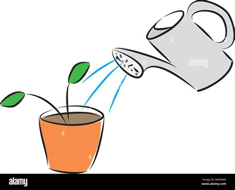 Watering A Plant Illustration