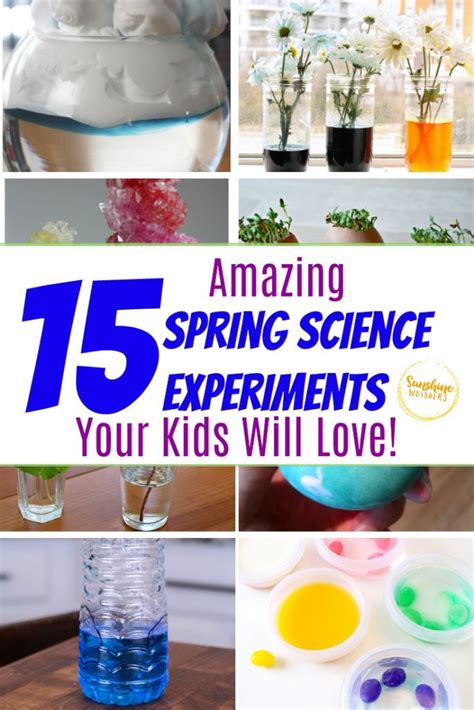 15 Amazing Spring Science Experiments Your Kids Will Love! - Sunshine Whispers