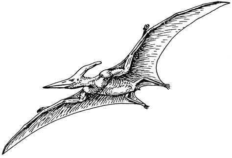 File:Pterodactyl 2 (PSF).png - Wikimedia Commons