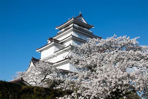 Aizu Wakamatsu Castle -White five-story main tower endured harsh battle ...