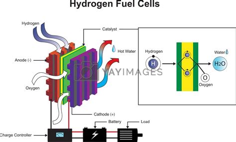 Hydrogen fuel cells diagram. by pattarawit Vectors & Illustrations Free download - Yayimages