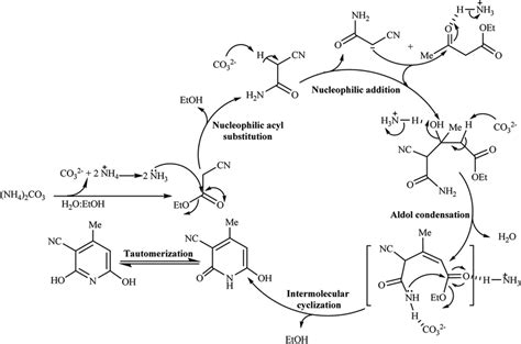 Proposed mechanism for the roles of (NH4)2CO3 in GT reaction | Download Scientific Diagram