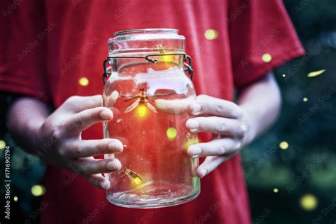 Fireflies in a jar Stock Photo | Adobe Stock