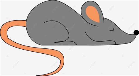 Mouse Sleeping Illustration Vector On White Background Illustration Mouse Cartoon Vector ...