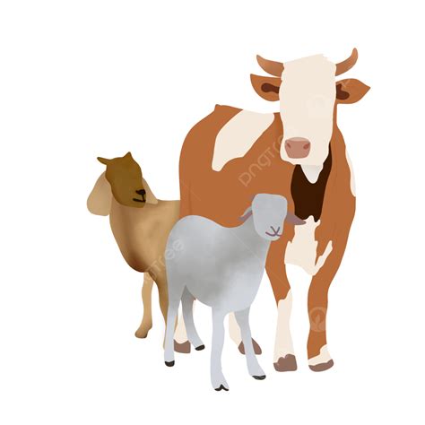 Cow Goat Sheep Came PNG, Vector, PSD, and Clipart With Transparent ...