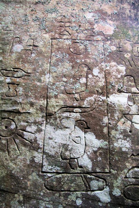 Gosford Glyphs Petroglyphs or Hieroglyphics - Destination's Journey