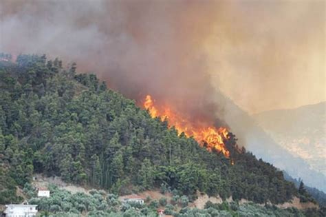 Reason behind Forest Fire in Uttarakhand, 2016 Uttarakhand Forest Fire