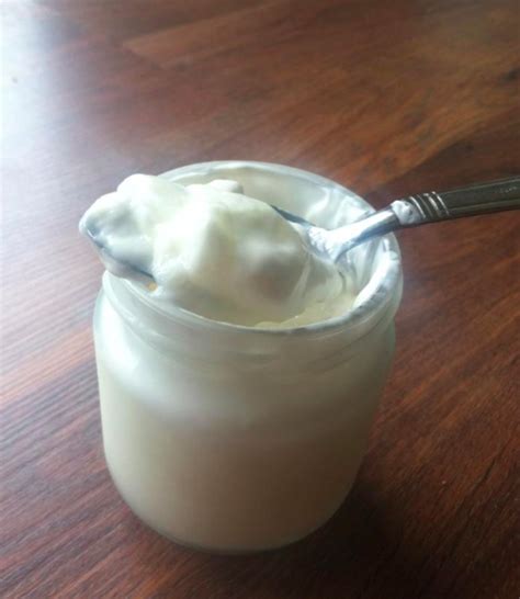 How to Make Thick Homemade Raw Goats' (or Cow's) Milk Yogurt — Healthy Families for God