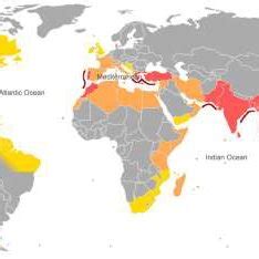 Tsunami risk map [Source: A3M AG Tuebingen] | Download Scientific Diagram