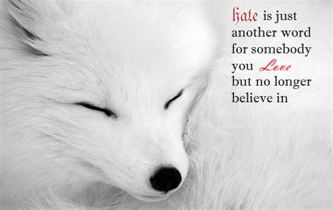 Quotes About Foxes. QuotesGram