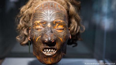 German museum agrees to return mummified Maori heads : The Tribune India