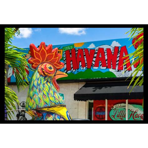 Little Havana 3 - Best Quality Canvas