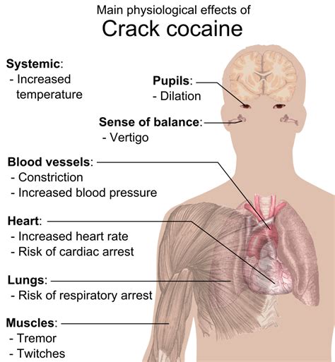 What is Crack? - Rehab Guide