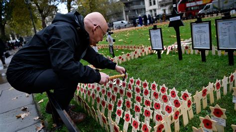 Remembering the end of WWI: The 100th anniversary