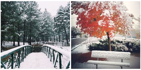 First Snowfall in Flagstaff, Arizona - Snow in Early November