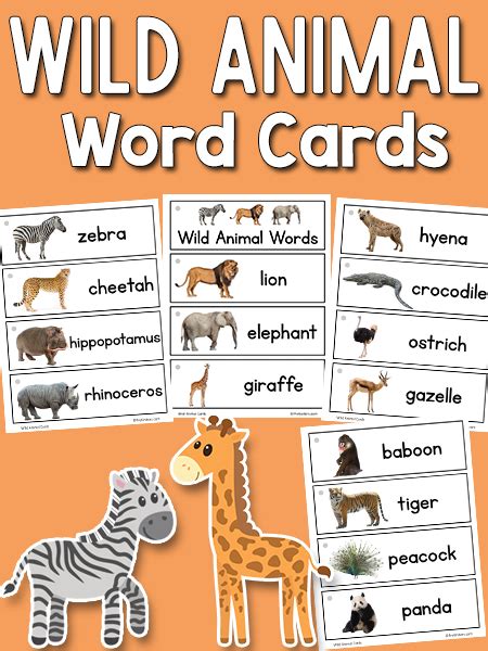 Wild Animal 5 Word Level Picture Games Toys & Games Learning & School etna.com.pe