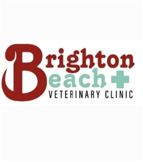 Brighton Beach Veterinary Clinic - Place for Paws