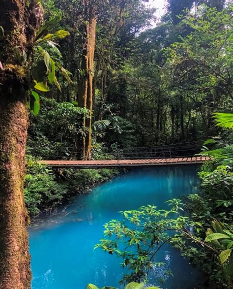 Rio Celeste Waterfall & Tenorio Volcano National Park Guide