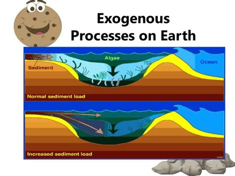 Exogenous processes on earth