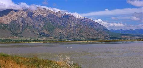 Utah Birding Spots: Bear River MBR