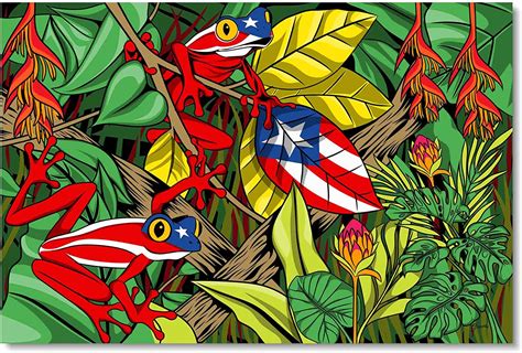 Amazon.com: El Coqui, Puerto Rican Wall Art, Acrylic Plexiglass Wall Decor, 16x24, 24x36, 30x45 ...