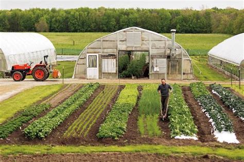 When Lean Business Principles Visit the Vegetable Farm https://www.triplepundit.com/2017/11/when ...