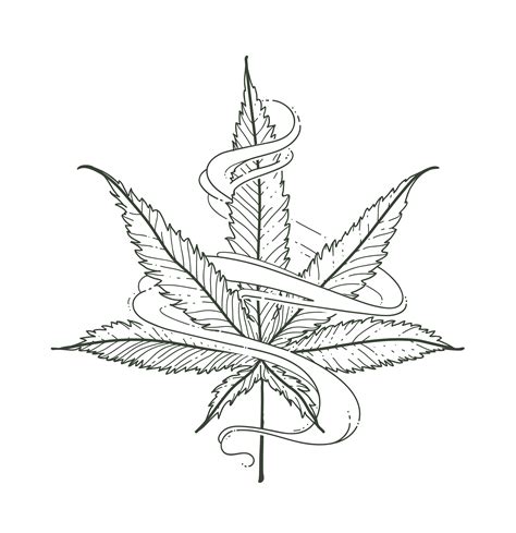 Vector Marijuana Leaf 338667 Vector Art at Vecteezy